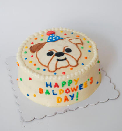 Dog cakes