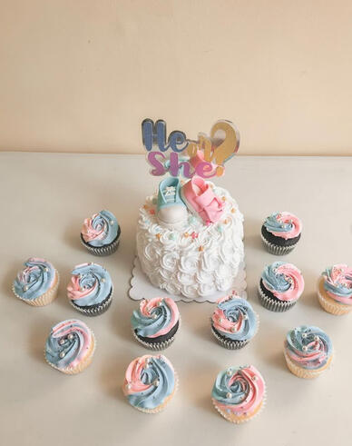 Gender Reveal with Sprinkle Explosion Cake